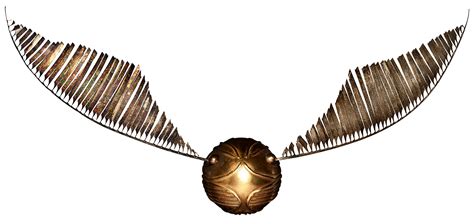 picture of the golden snitch