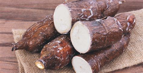 picture of yucca root