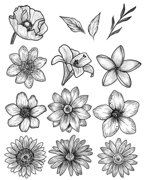 pictures of different flowers to draw