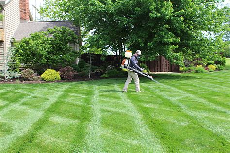 pictures of lawn care