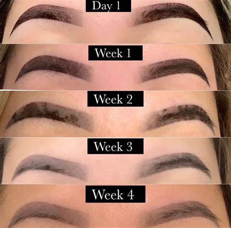 Pictures Of Microblading Healing Process