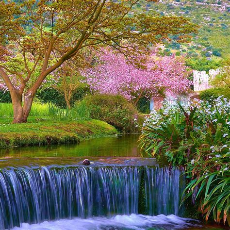 Nature Scenes Wallpapers Top Free Nature Scenes Backgrounds