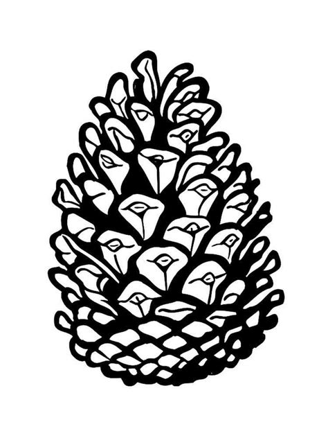 pictures of pine cones to print