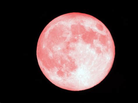 pictures of pink moons