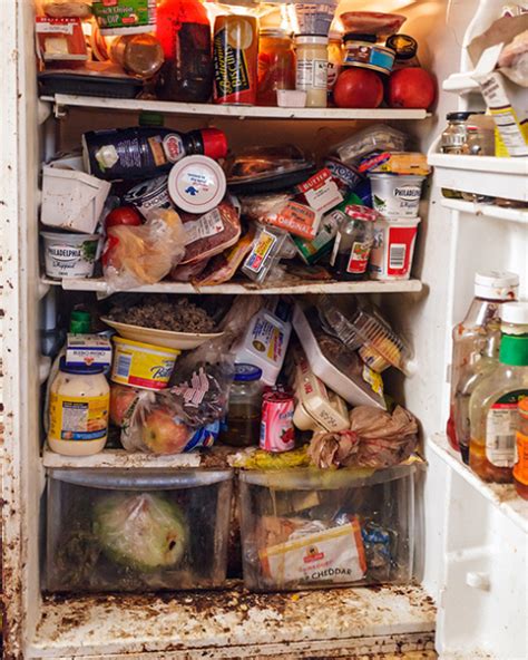 pictures of rotten food in fridge