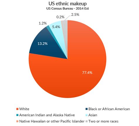 pie chart of ethnicity in usa