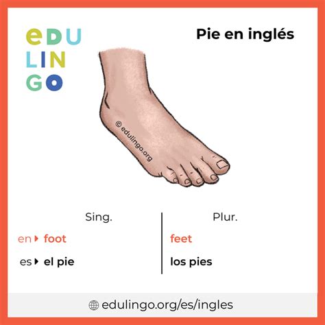 Pie En Ingles Significado