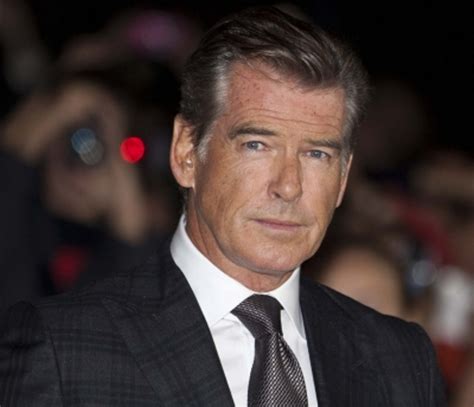 pierce brosnan pleads no