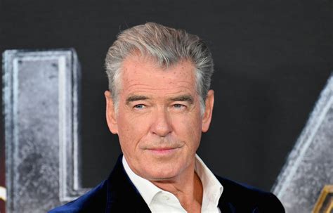 pierce brosnan pleads not