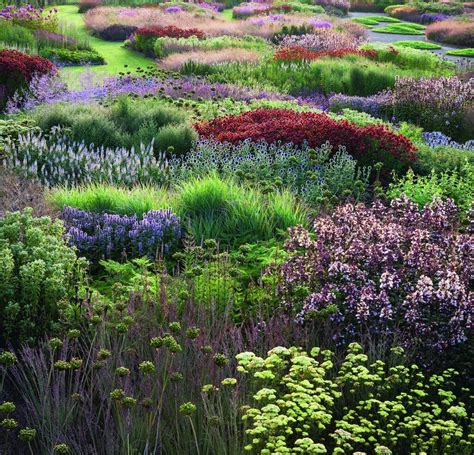 How Piet Oudolf’s gardens tame the wild Landscape design, Plants