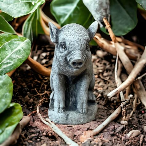 Pig Cement Statues