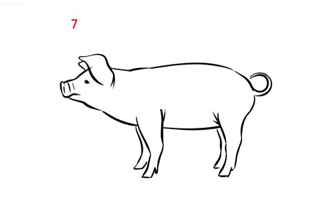Pig Pic Drawing