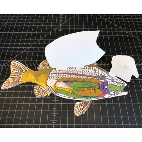 Pig Scienstructable Key And Functions Answer Key