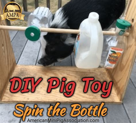 Pig Toy Ideas