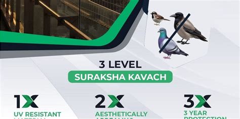 Pigeon Control India