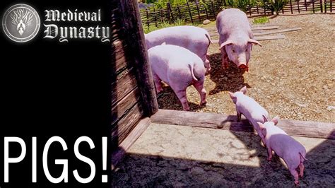 pigs medieval dynasty