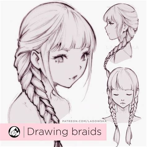 Pigtail Braids Drawing Reference