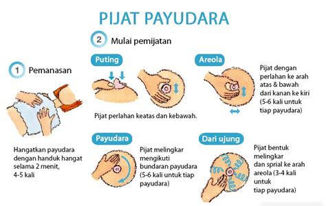 pijatan payudara