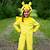 pikachu costume costco