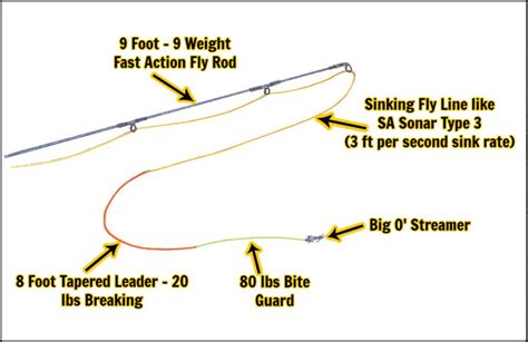 Pike Fly Fishing Setup