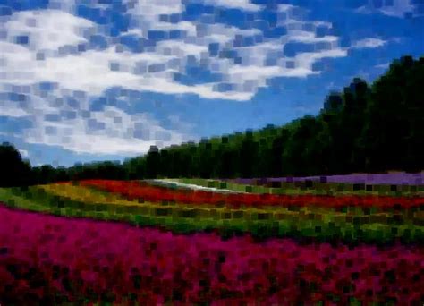 Pil Image Filter Examples