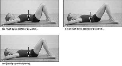 Pilates Flat Back Vs Neutral Spine