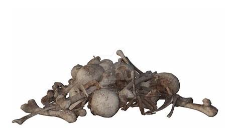 Pile Of Bones Png