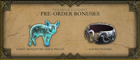 Pillars Of Eternity Items