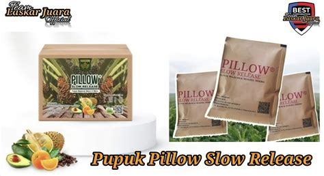 List Of Pillow Slow Release 2023