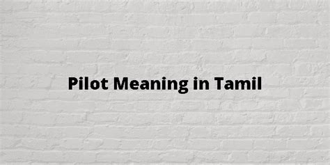 pilot test meaning in tamil with example