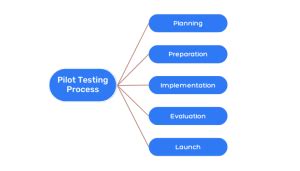 pilot testing meaning in bengali