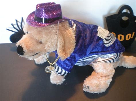 Pin by leanne gow on Animals dressed up Pet halloween costumes, Large