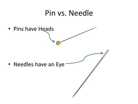 Pin And Needles Back