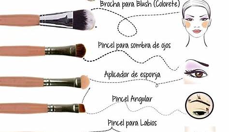 Pinceles De Maquillaje Usos 14 Tipos Diferentes Y Sus