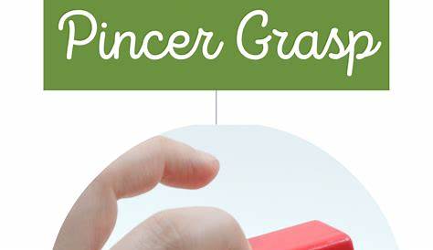 Pincer Grasp Meaning In Tamil When Will Your Baby Develop The