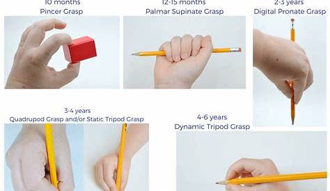 Typical Pencil Grasp Development for Kids Pencil grasp