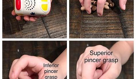 Pincer Grasp What Is A ? Development Plus Activity Tips And