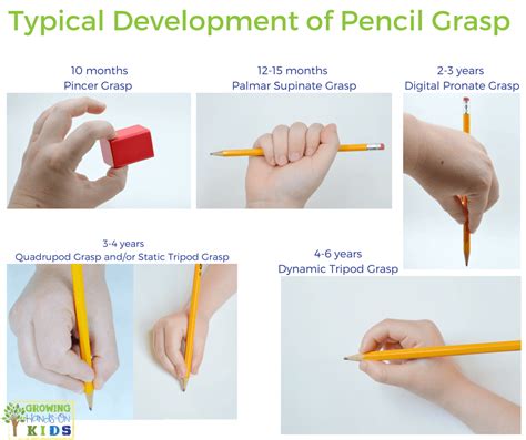 Pincer Grasp Joint