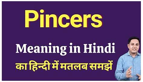 Pincers Meaning In Hindi Ka Matlab Kya Hota Hai