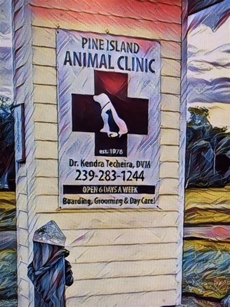 Boarding & Grooming Pine Island Animal Clinic