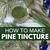 pine needle tincture recipe