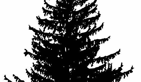 Pine Tree Silhouette - Cliparts.co