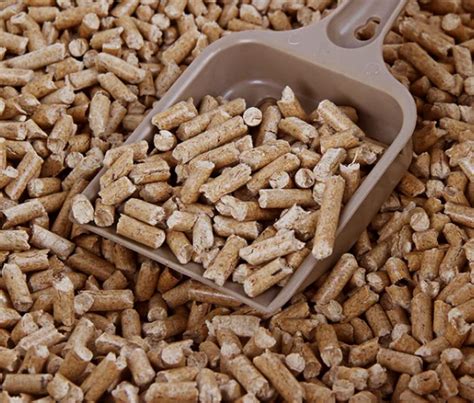 Pine Chips For Cat Litter