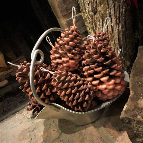Pine Cone Fire Starters