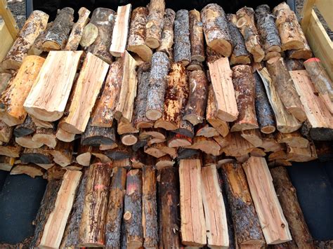 Best Firewood Which Type Burns Best? Bob Vila