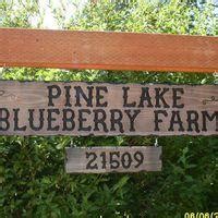 pine lake blueberry farm sammamish