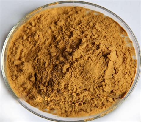 Pine Mushroom Extract