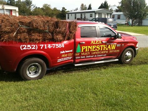 pine needle delivery near me reviews