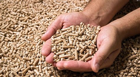 Pine Pellets Vs Wood Pellets