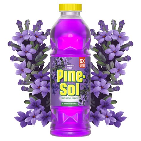 Pine Sol Nearby